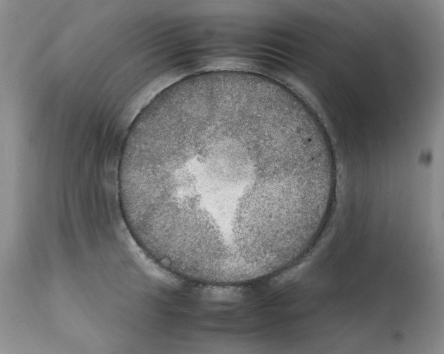 X0000112011041200909141121