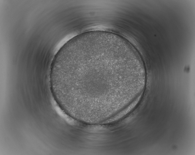 X0000112011042200909141121