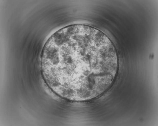 X0000112011044200909141121