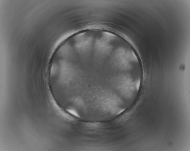 X0000112011045200909141121