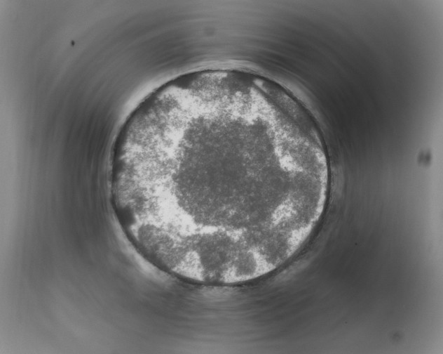 X0000112011046200909141121