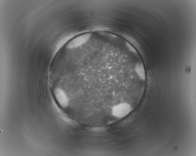 X0000112011047200909141121