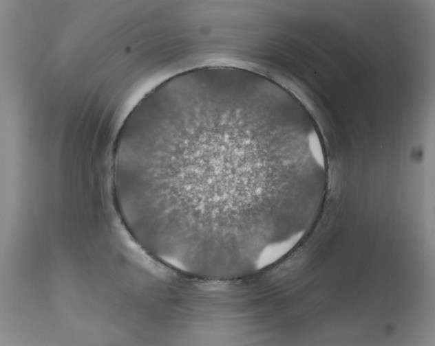 X0000112011048200909141121