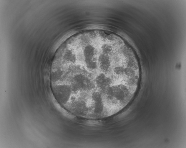 X0000112011049200909141121