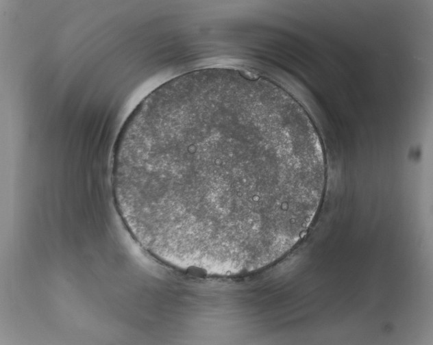 X0000112011050200909141121