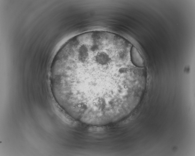 X0000112011051200909141121