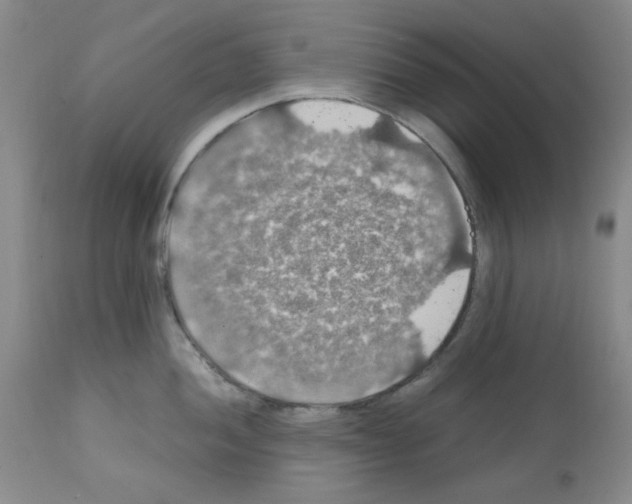 X0000112011052200909141121