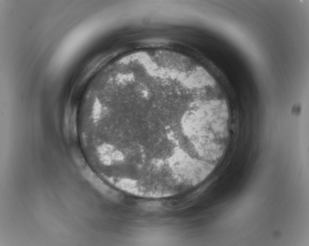 X0000112011054200909141121