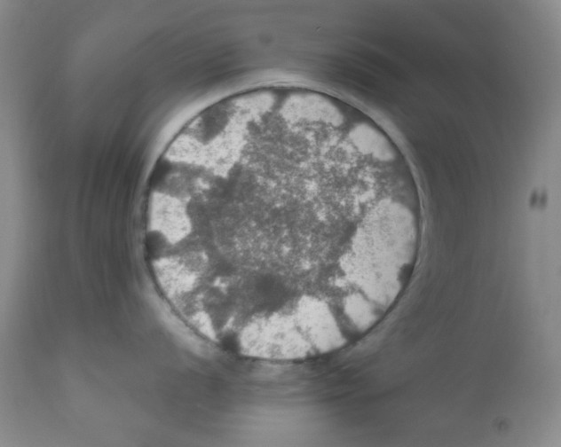 X0000112011056200909141121