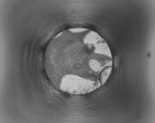X0000112011059200909141120