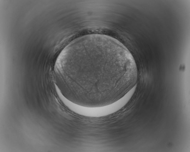 X0000112011060200909141120