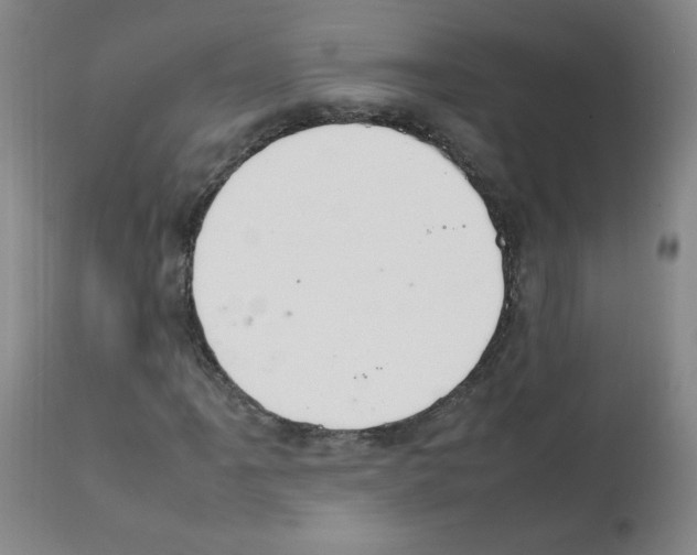 X0000112011061200909141120