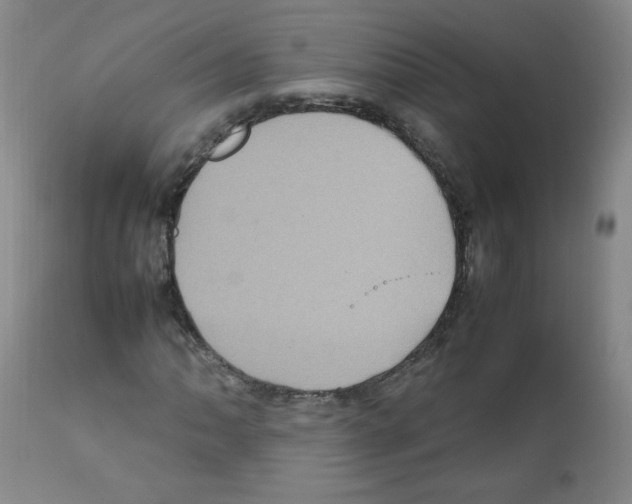 X0000112011062200909141120
