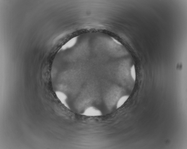 X0000112011063200909141120