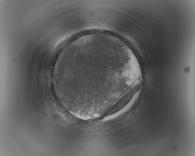 X0000112011064200909141120