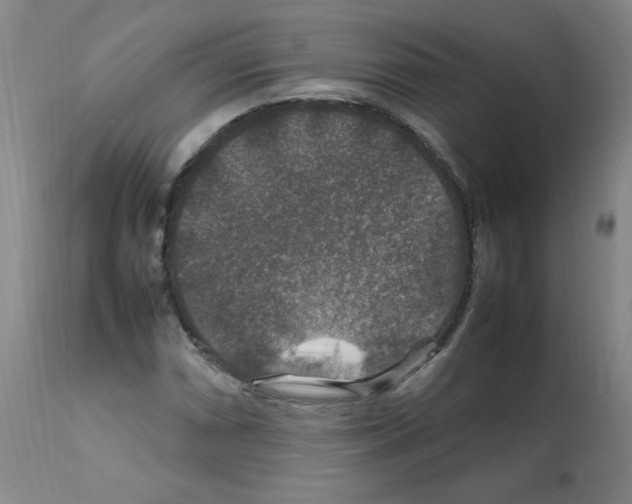 X0000112011066200909141120