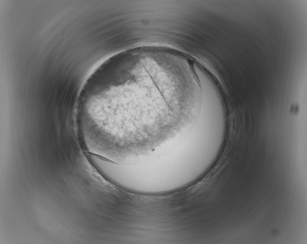 X0000112011068200909141120