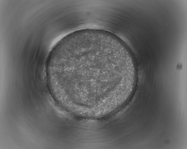 X0000112011070200909141120