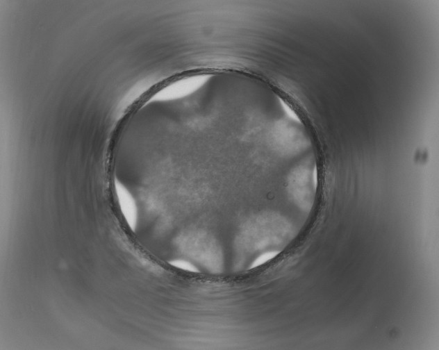 X0000112011071200909141120