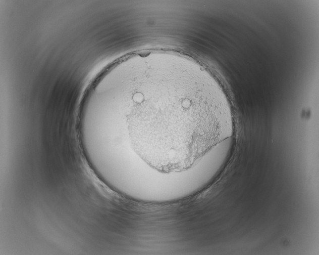 X0000112011072200909141120