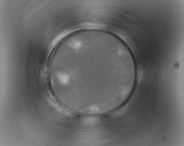 X0000112011074200909141120