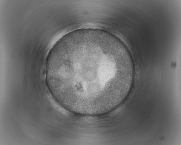 X0000112011075200909141120