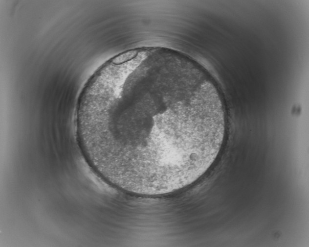X0000112011076200909141120