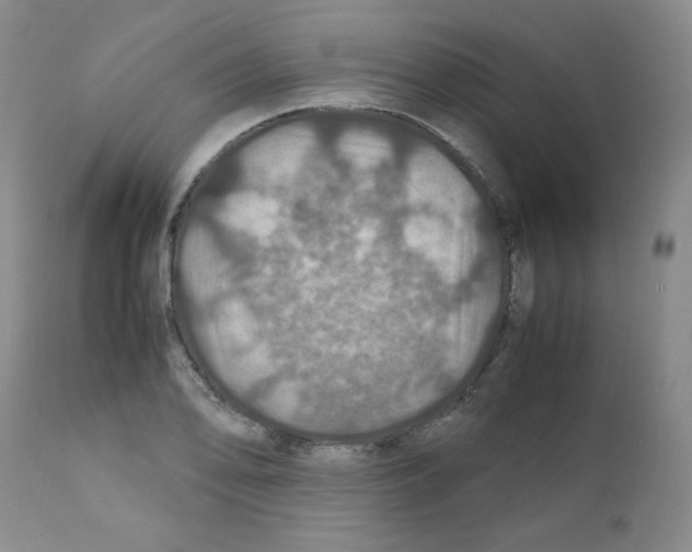 X0000112011078200909141120
