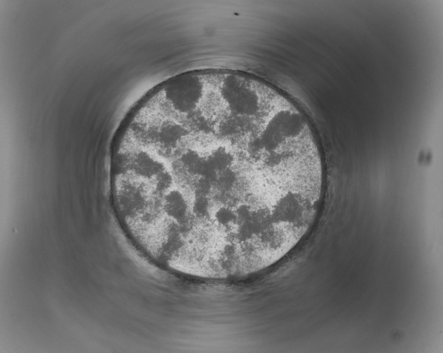 X0000112011079200909141120