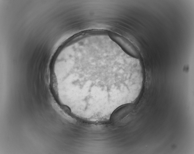 X0000112011080200909141120