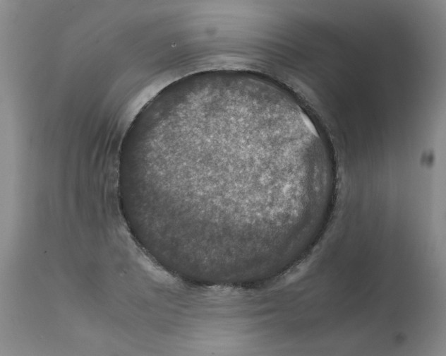 X0000112011081200909141120