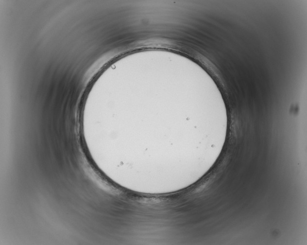 X0000112011082200909141120