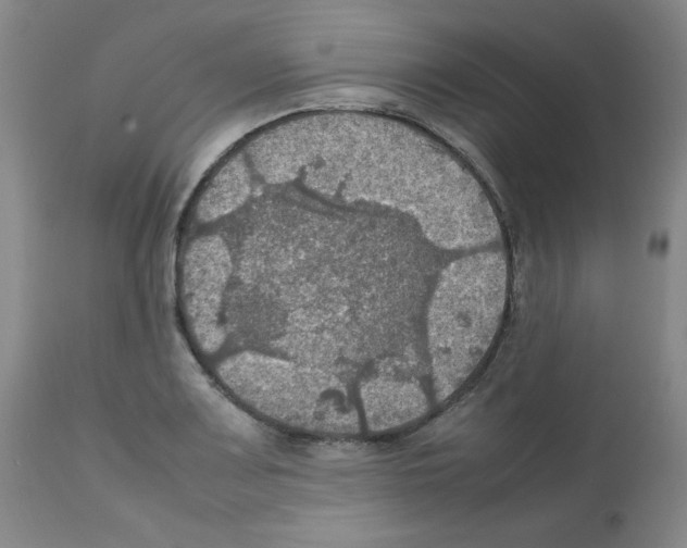 X0000112011083200909141120