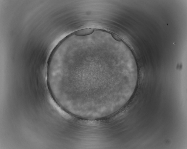 X0000112011084200909141120