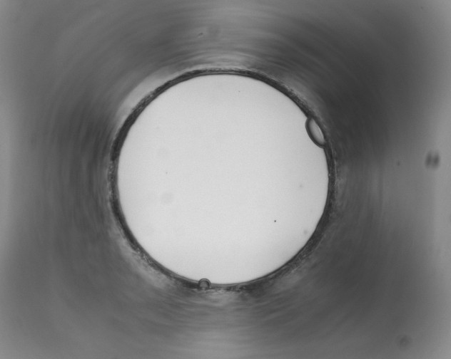 X0000112011085200909141120