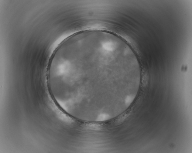 X0000112011086200909141120