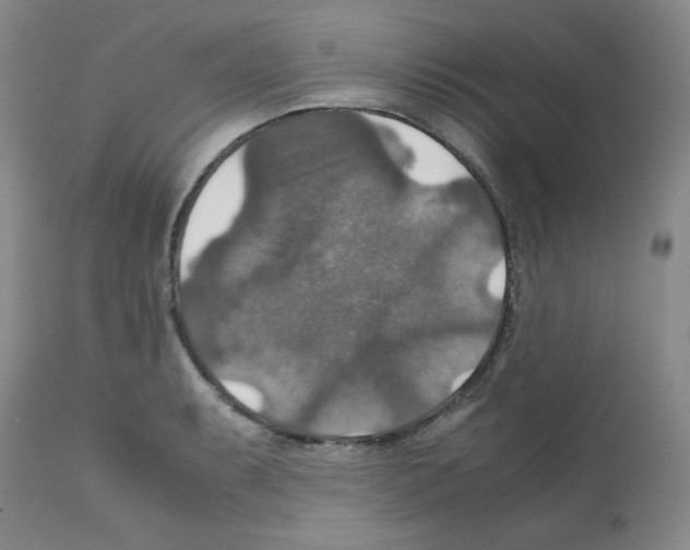 X0000112011087200909141120