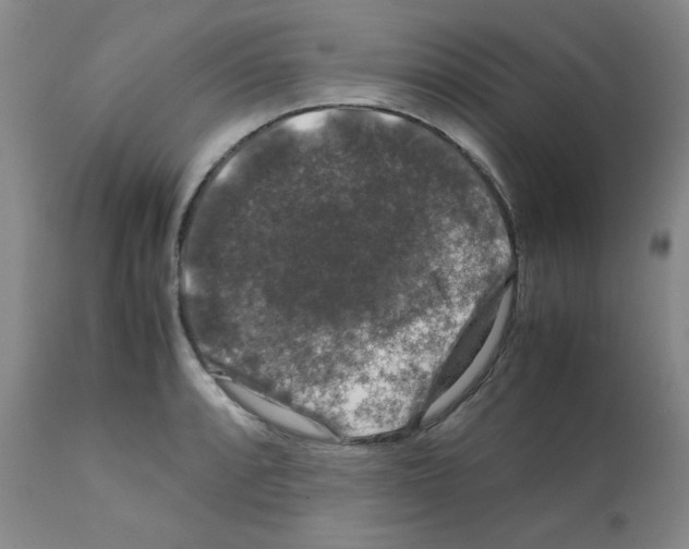 X0000112011088200909141120