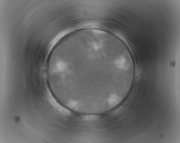 X0000112011090200909141120