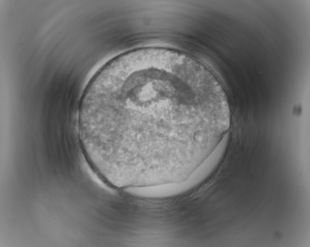 X0000112011092200909141120