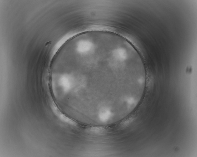 X0000112011094200909141120