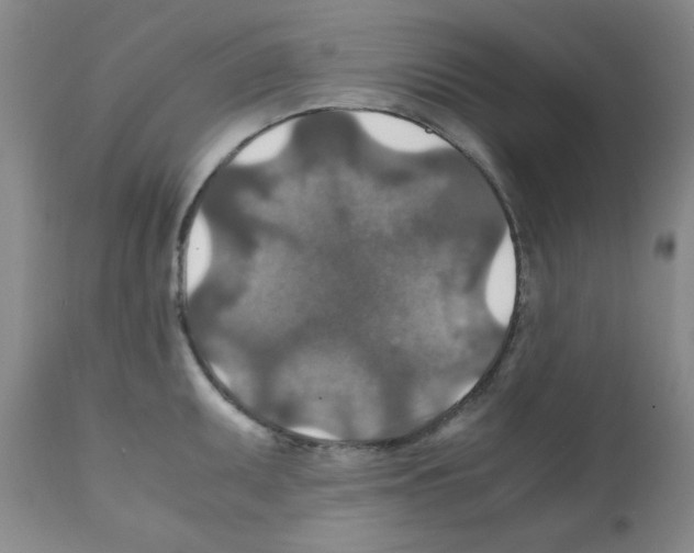 X0000112011095200909141120