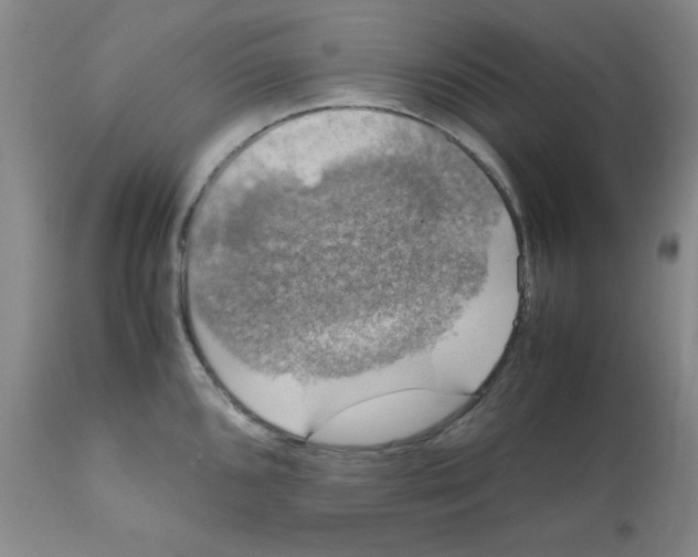 X0000112011096200909141120
