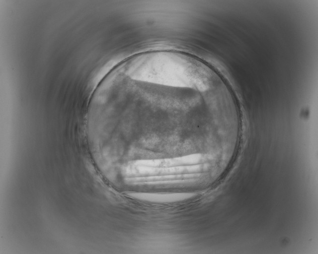 X0000112011097200909141120