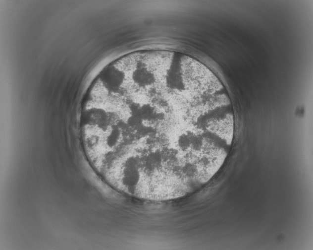 X0000112011099200909141120