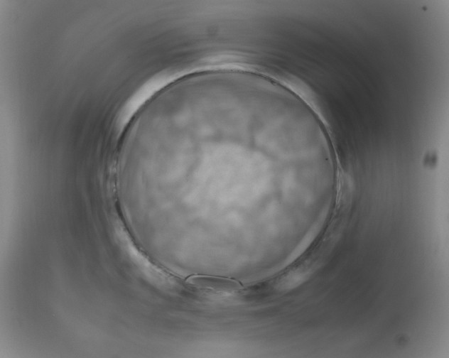 X0000112011101200909141120