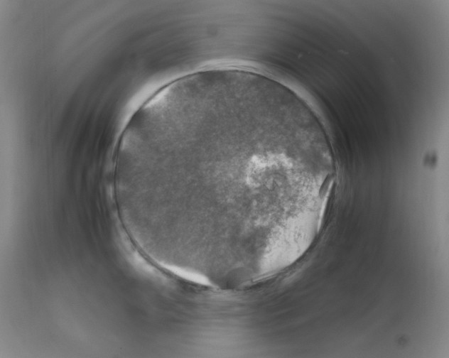 X0000112011102200909141120