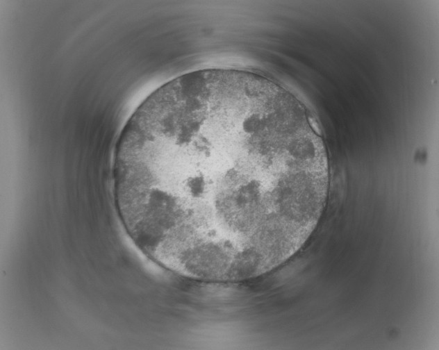 X0000112011103200909141120