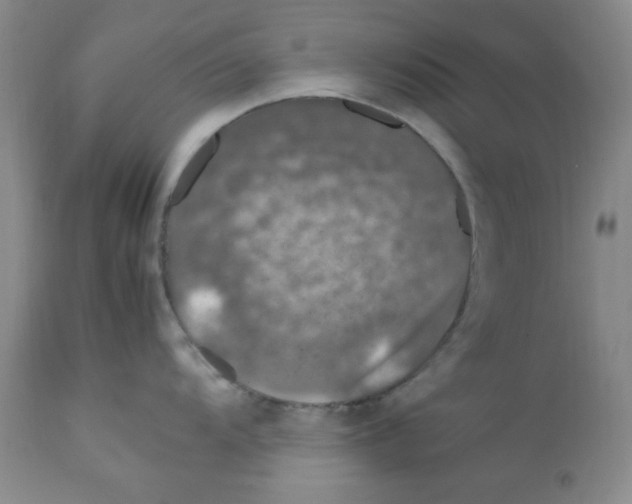 X0000112011104200909141120