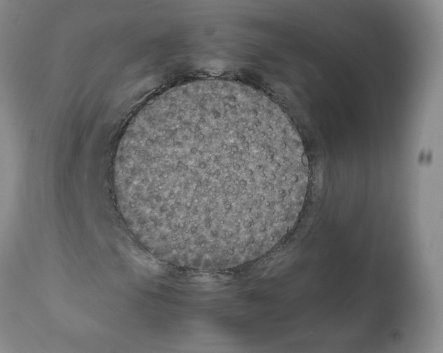 X0000112011105200909141119